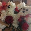 mariannepark735